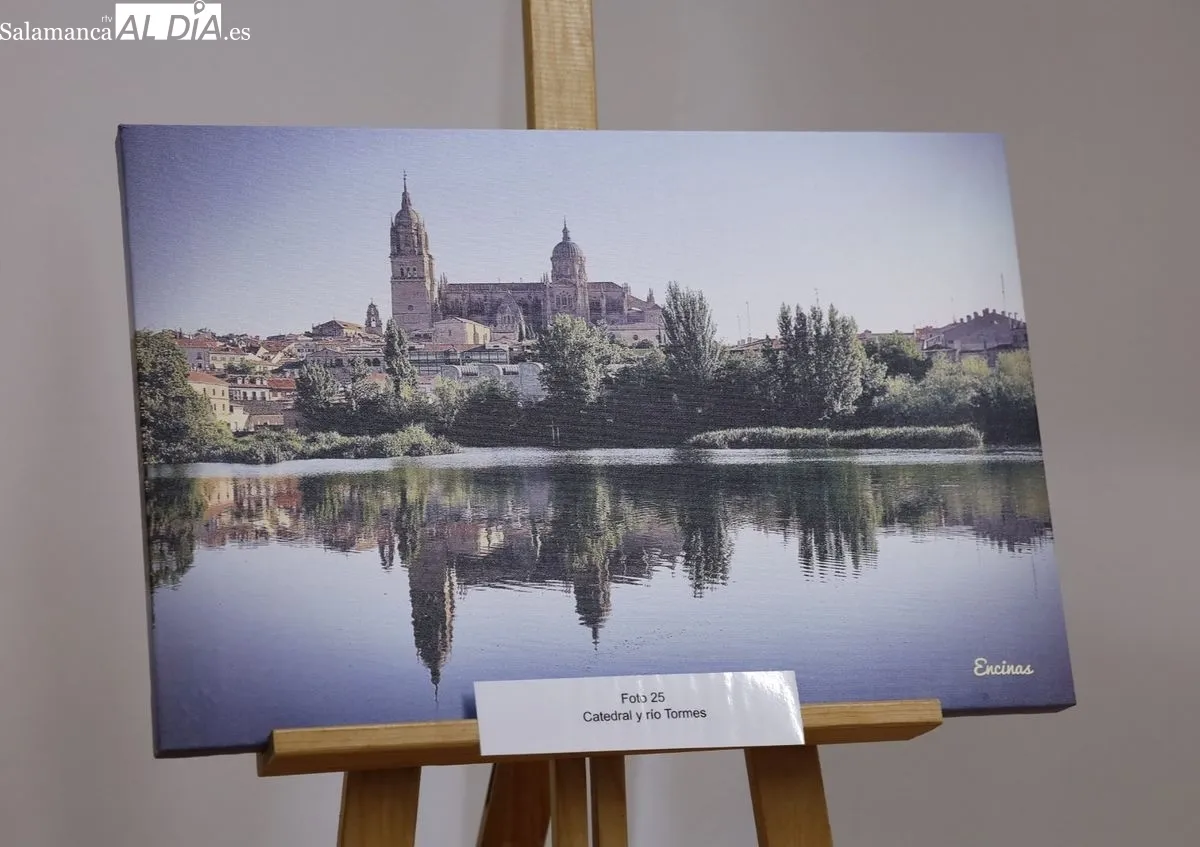 Exposición ‘Renaciente maravilla’, en la Fonda Veracruz, organizada por la Asociación Contra la Leucemia y Enfermedades de la Sangre (ASCOL). Foto de David Domínguez