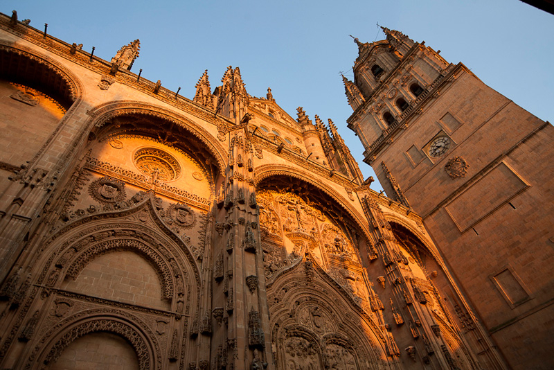 Mañueco asistirá a la misa por el Papa que se celebrará en la Catedral de Salamanca