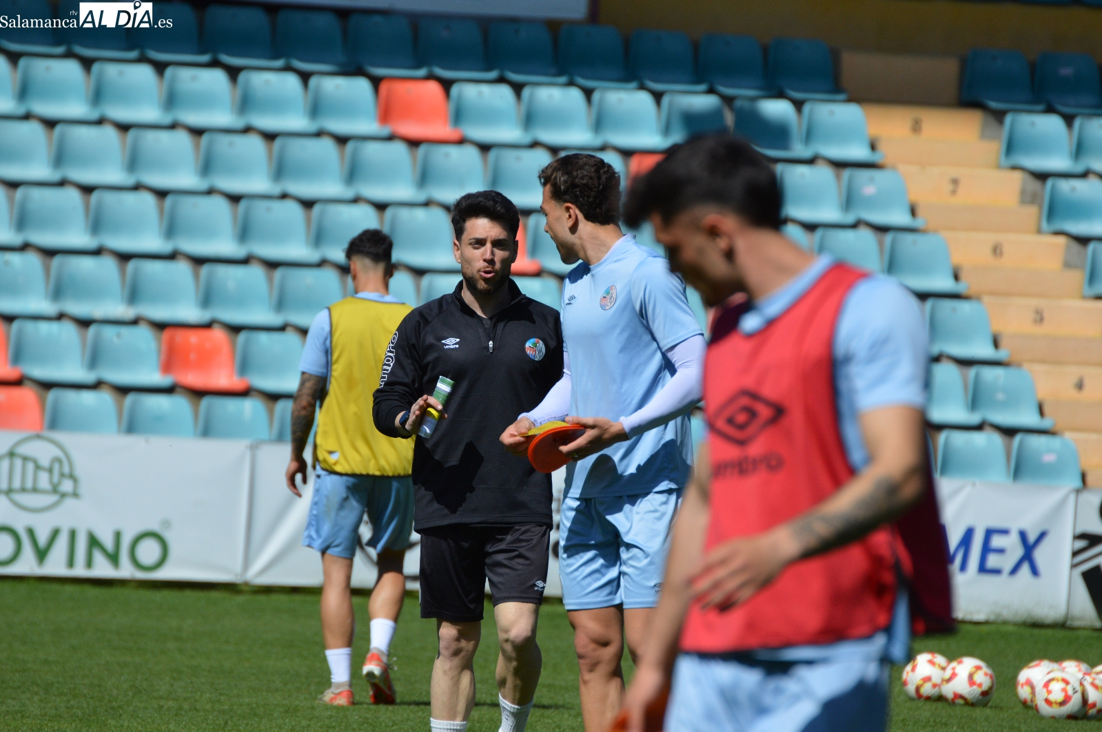 Sí, a veces hay que agitar el árbol…