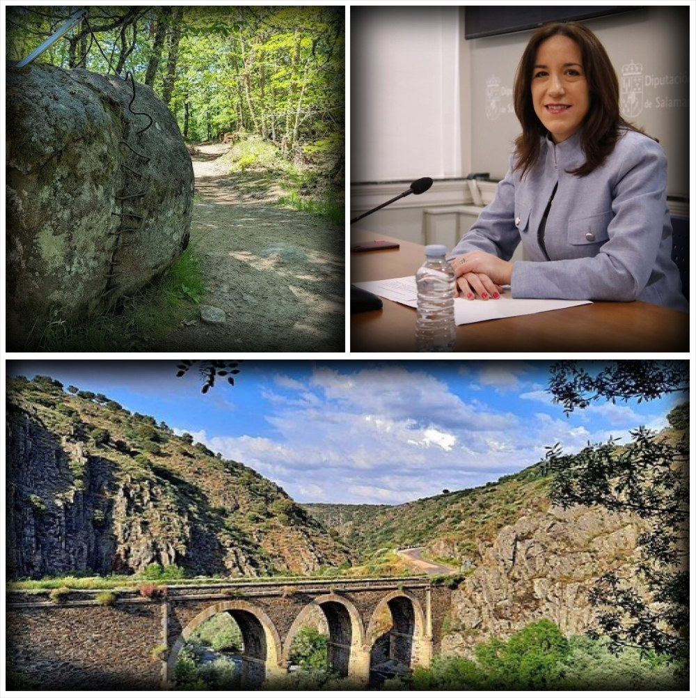 Jornadas Micológicas de Primavera: el 26 de abril en Herguijuela de Ciudad Rodrigo y el 3 de mayo en Monforte de la Sierra