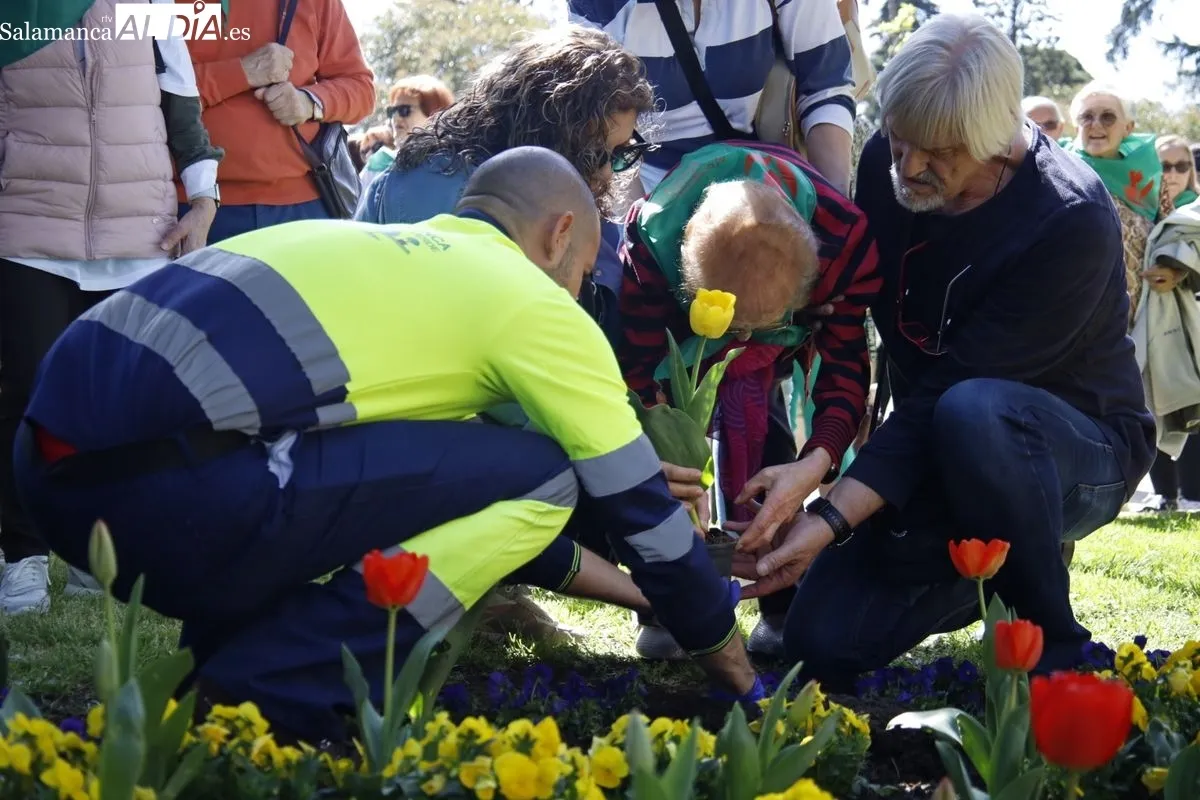 Plantación de tulipanes en el parque de San Francisco por el Día Mundial del Parkinson. Foto de David Domínguez