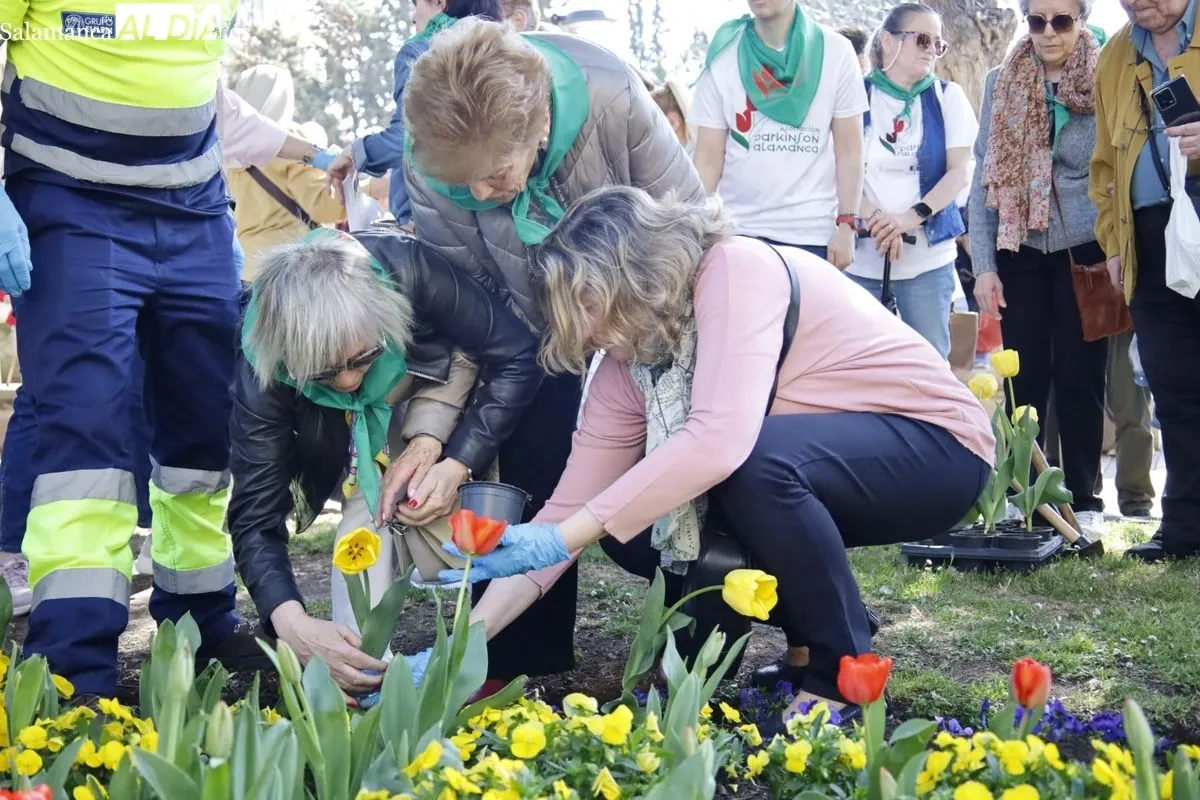 Plantación de tulipanes en el parque de San Francisco por el Día Mundial del Parkinson. Foto de David Domínguez
