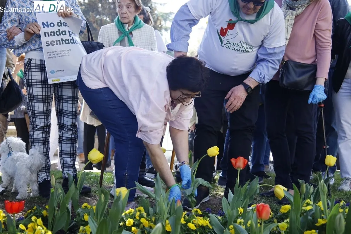 Plantación de tulipanes en el parque de San Francisco por el Día Mundial del Parkinson. Foto de David Domínguez
