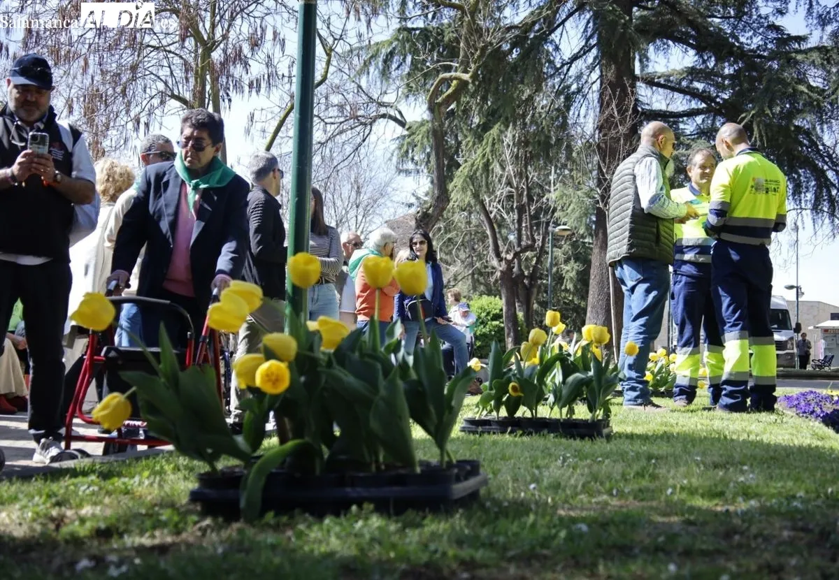 Plantación de tulipanes en el parque de San Francisco por el Día Mundial del Parkinson. Foto de David Domínguez
