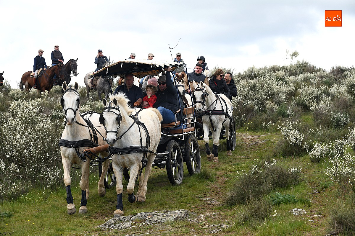 II Ruta a Caballo  Siega Verde con  participación  centenar  jinetes
