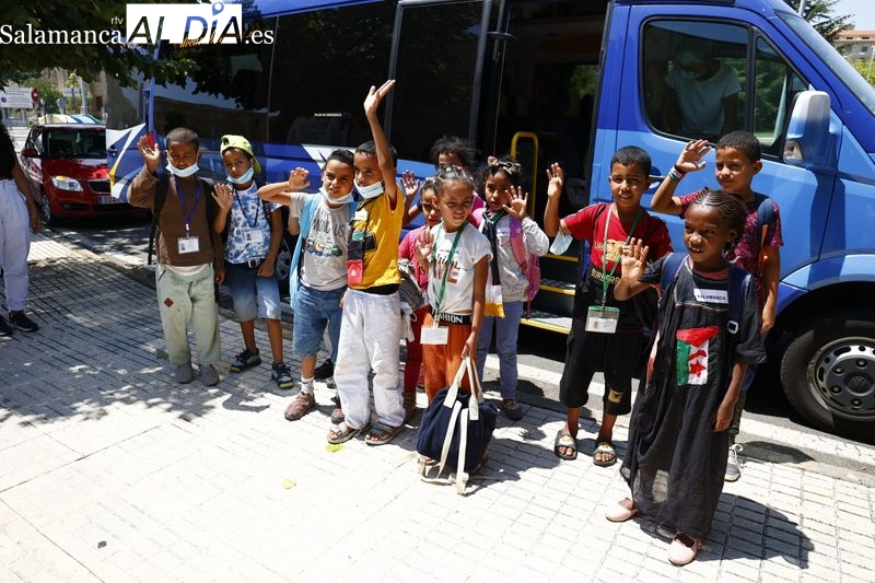 Los niños saharauis volverán a Salamanca gracias a 15 familias 
