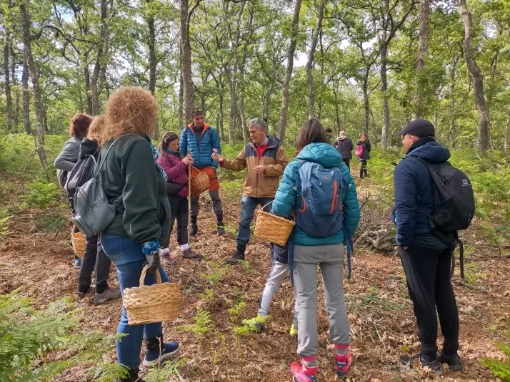 Imágen de la noticia