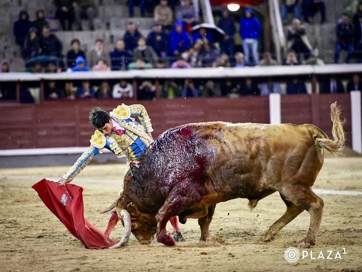 'Brigadier', de Pedraza de Yeltes, en Las Ventas. Foto de Plaza 1