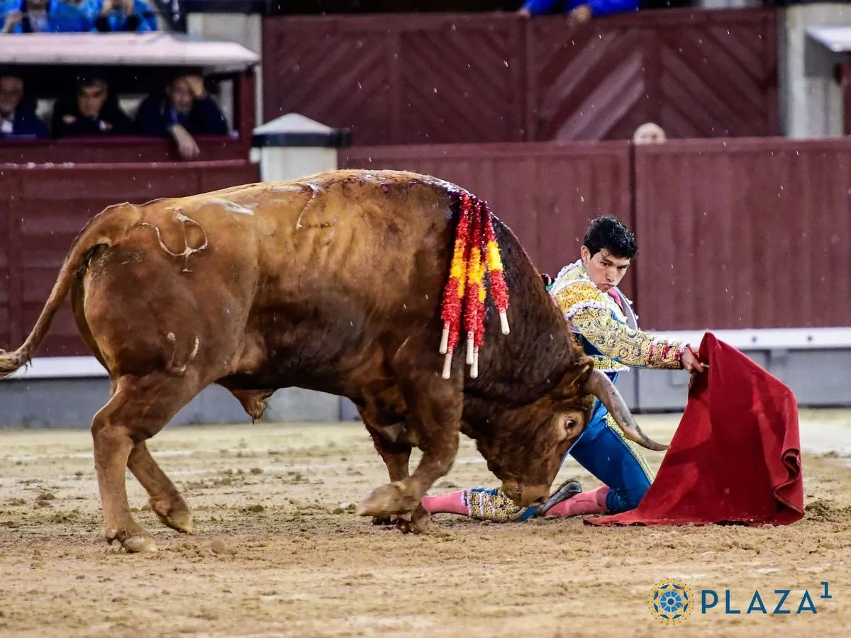 'Brigadier', de Pedraza de Yeltes, en Las Ventas. Foto de Plaza 1
