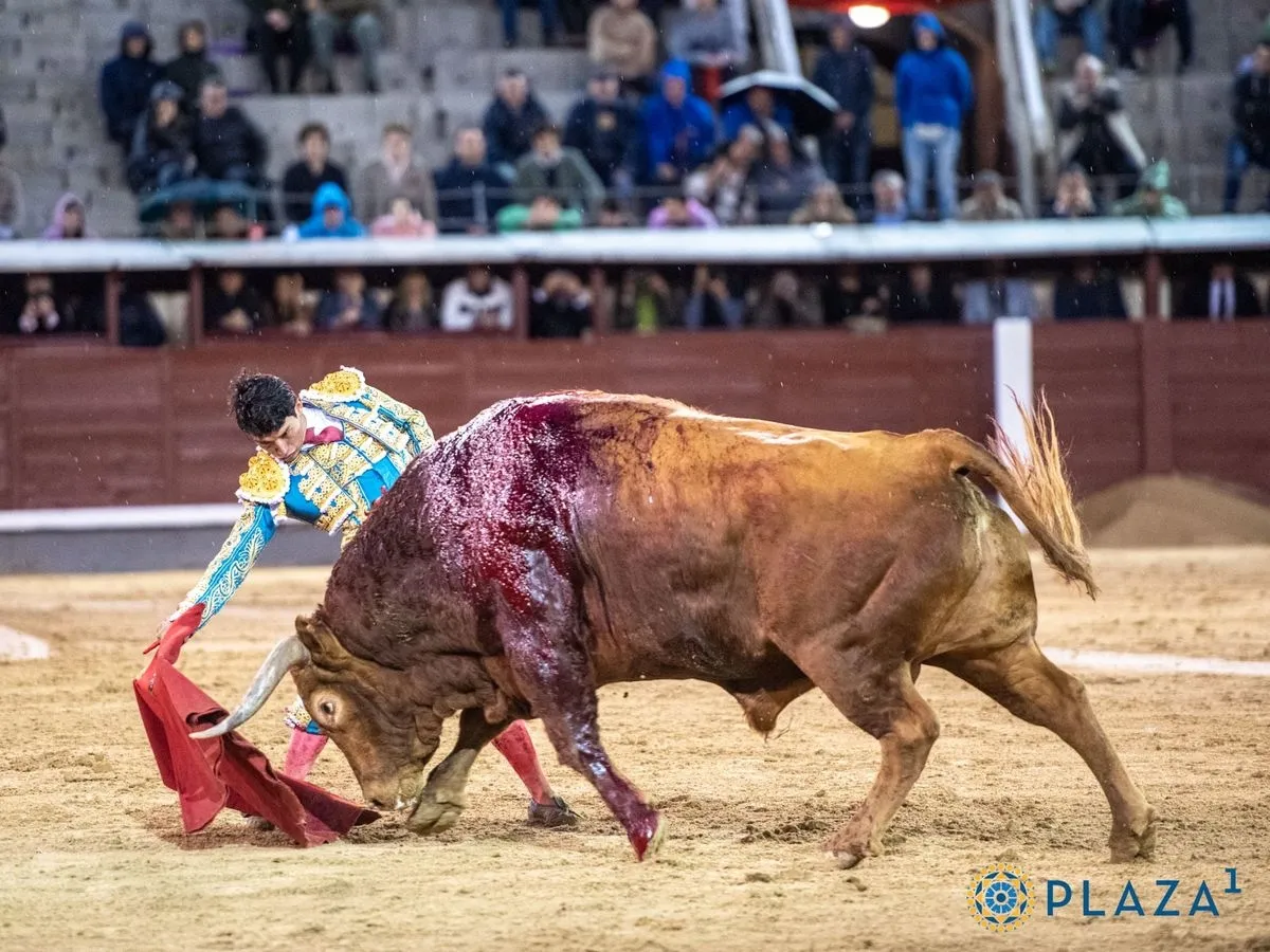 'Brigadier', de Pedraza de Yeltes, en Las Ventas. Foto de Plaza 1