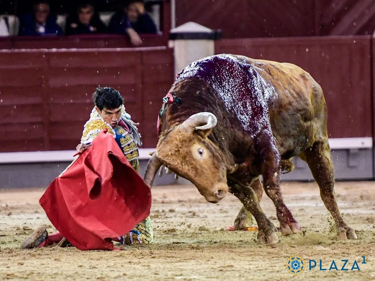 'Brigadier', de Pedraza de Yeltes, en Las Ventas. Foto de Plaza 1