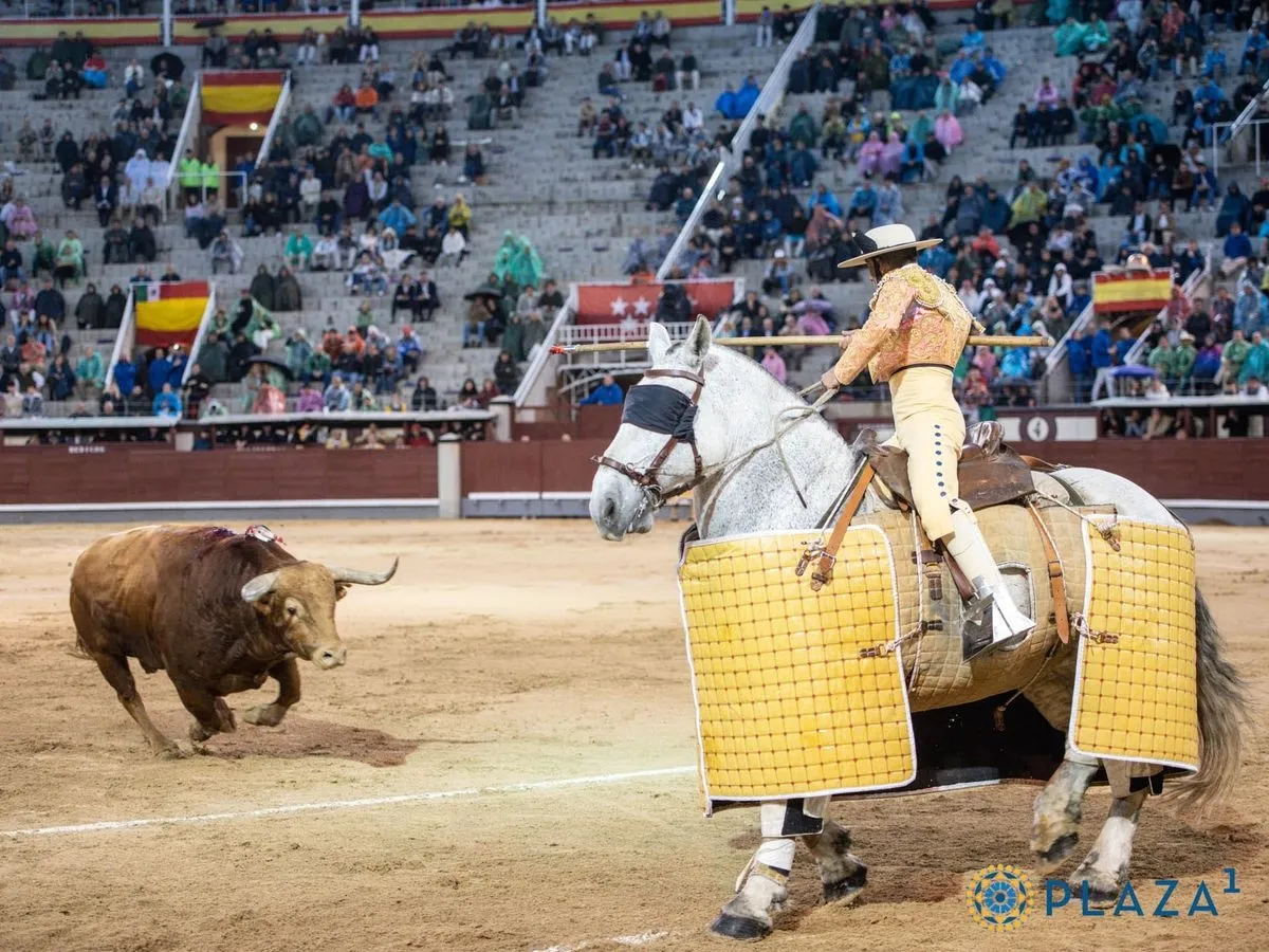 'Brigadier', de Pedraza de Yeltes, en Las Ventas. Foto de Plaza 1