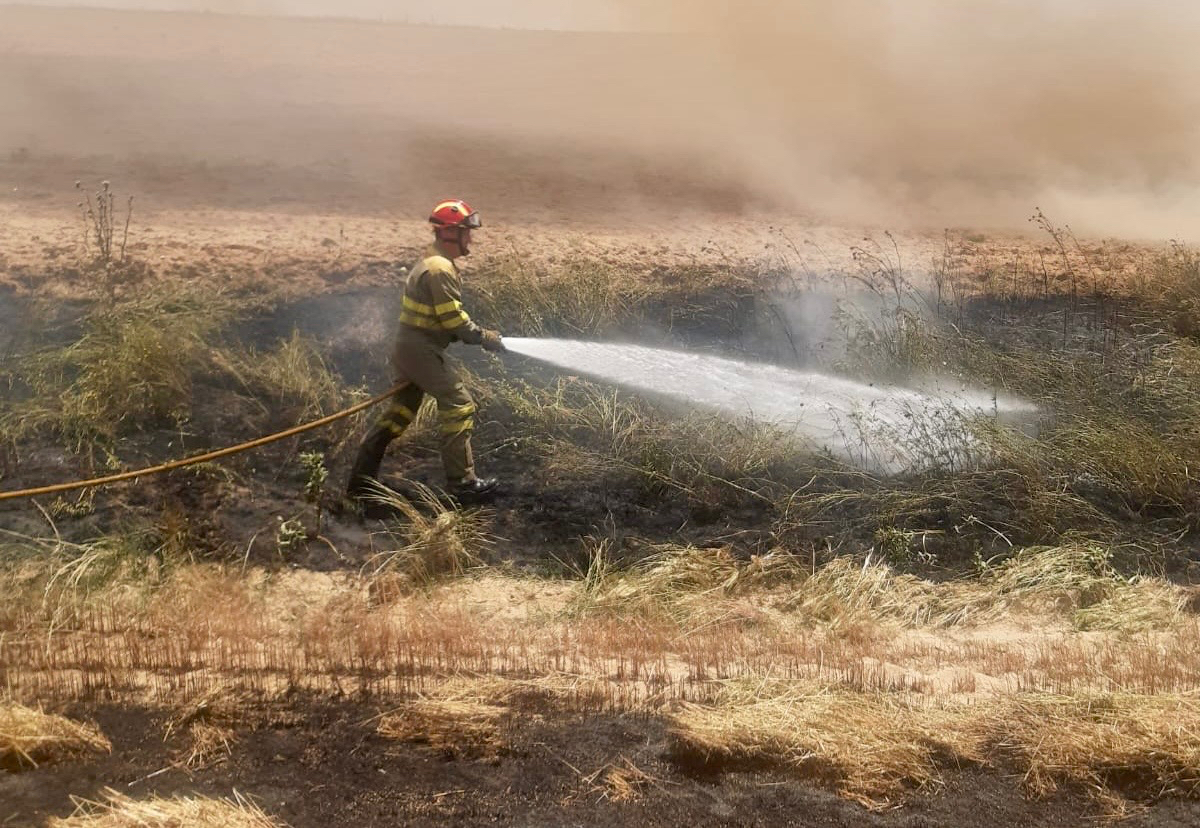 Un potente incendio calcina más de dos hectáreas de cereal en El Pedroso de la Armuña