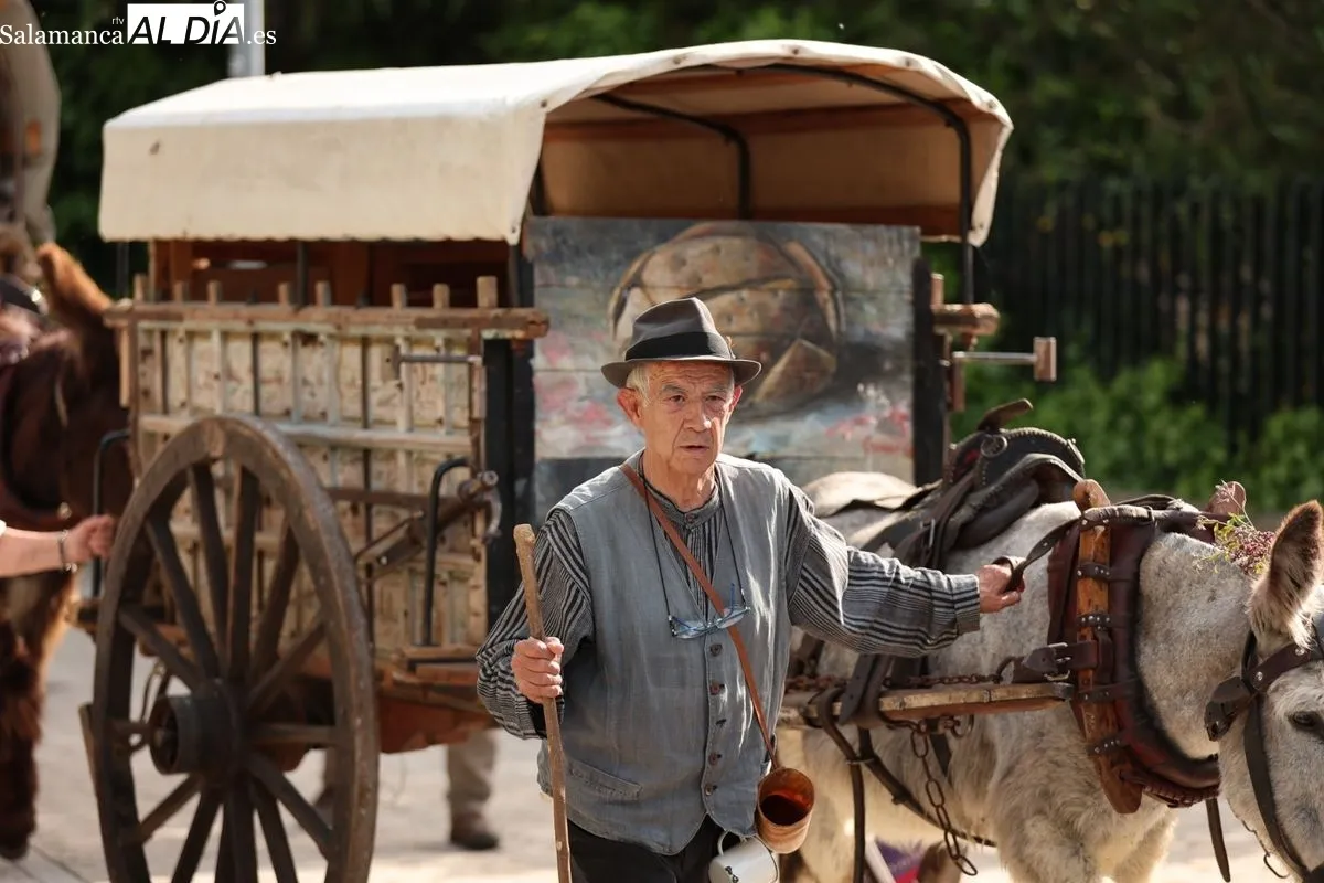 El esplendor del Siglo de Oro revive en Salamanca con este gran desfile | FOTOS: David Sañudo