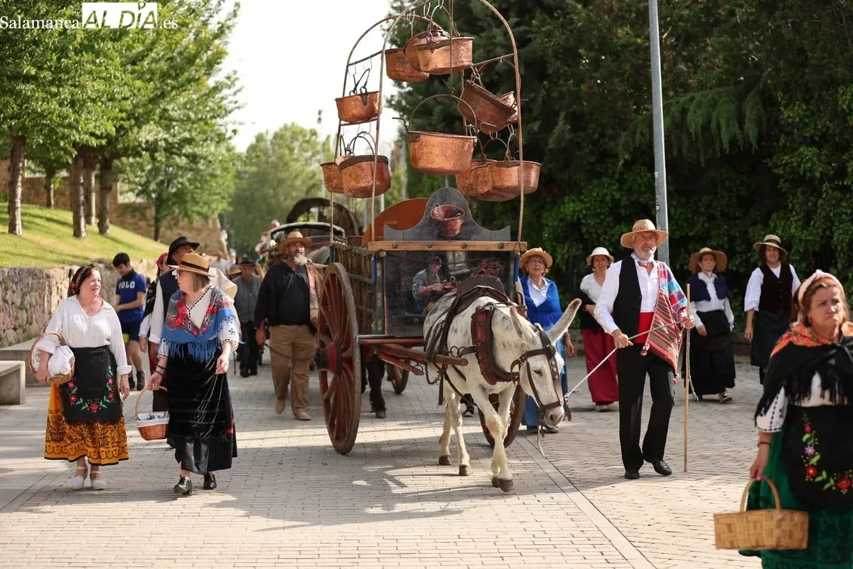 El esplendor del Siglo de Oro revive en Salamanca con este gran desfile | FOTOS: David Sañudo