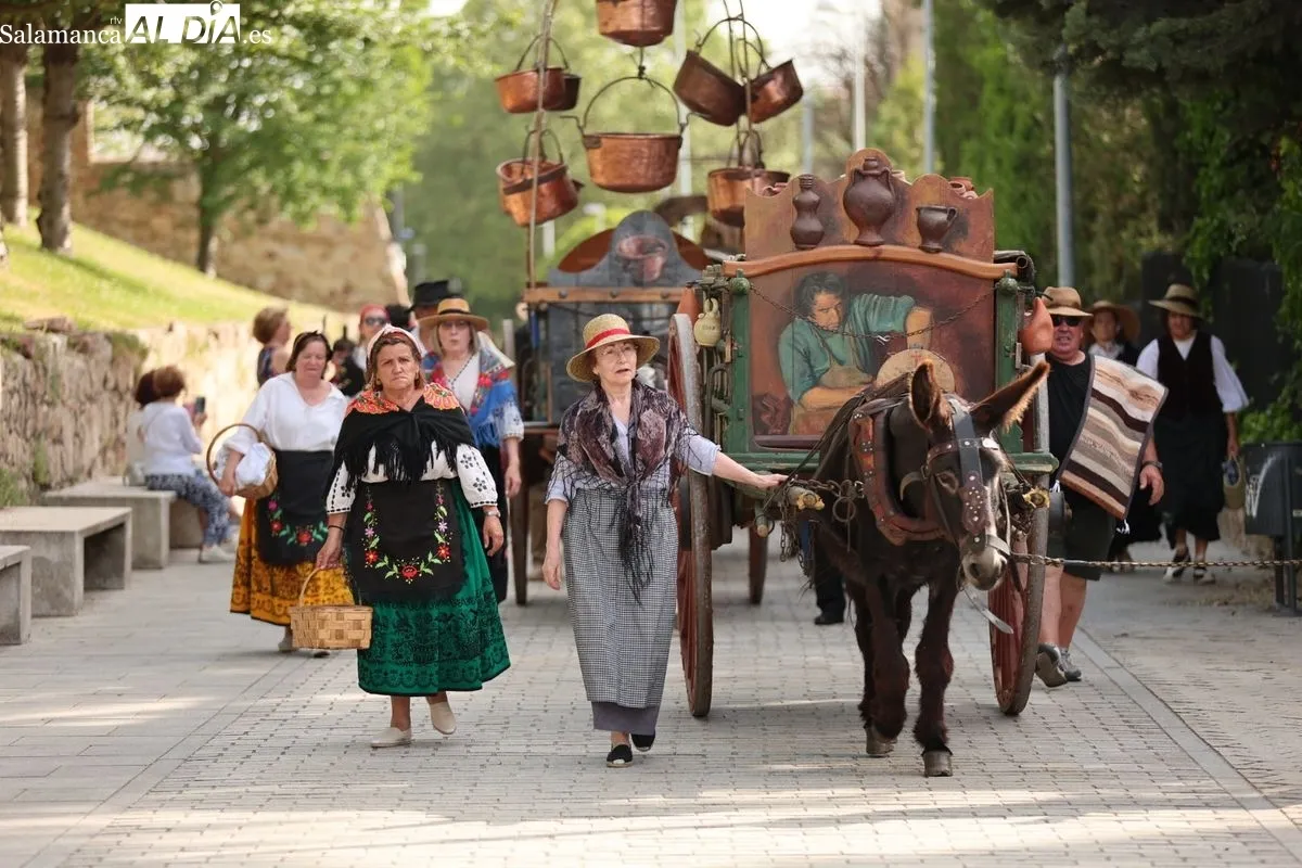 El esplendor del Siglo de Oro revive en Salamanca con este gran desfile | FOTOS: David Sañudo