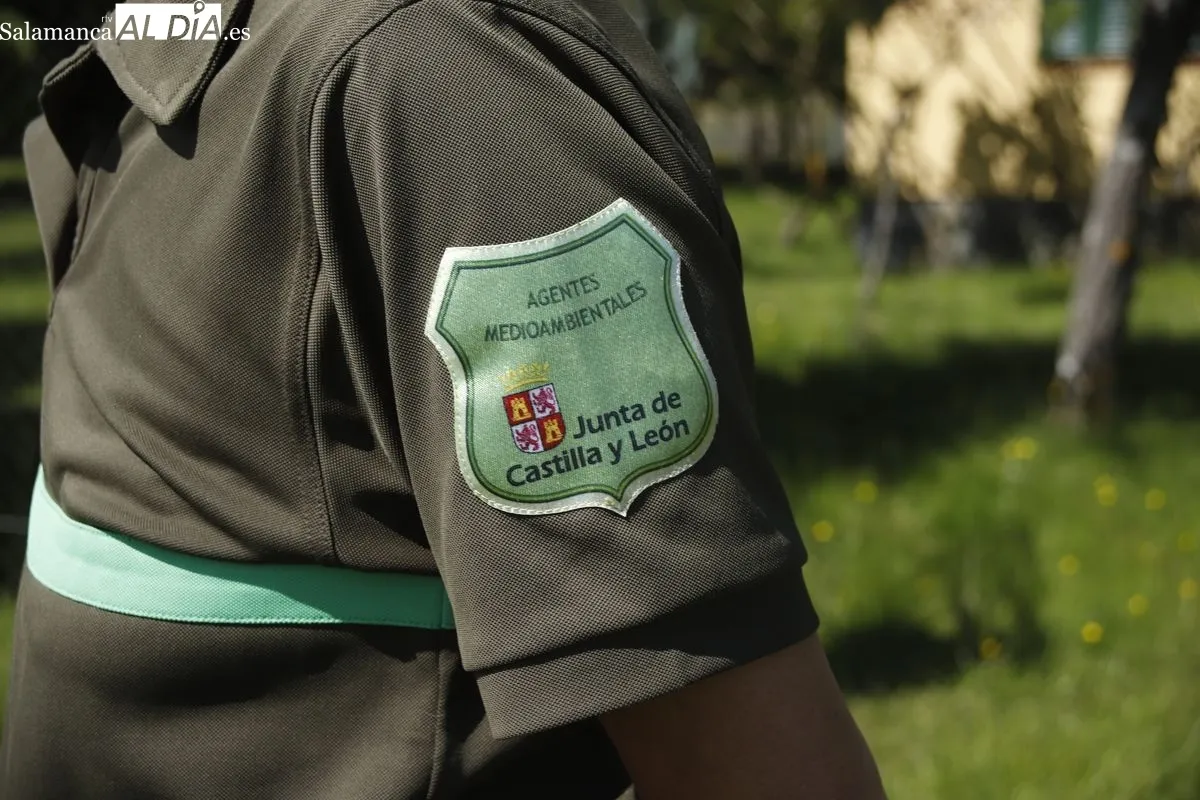 Más allá del verano: así es el trabajo de los bomberos forestales en Salamanca durante todo el año | FOTOS: Ángel Puma 