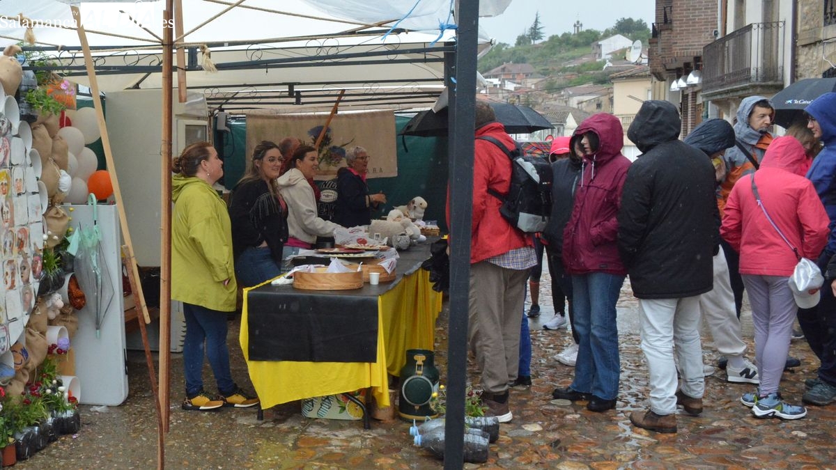 La XXII Feria del Queso de Hinojosa se cierra con balance positivo a pesar del mal tiempo