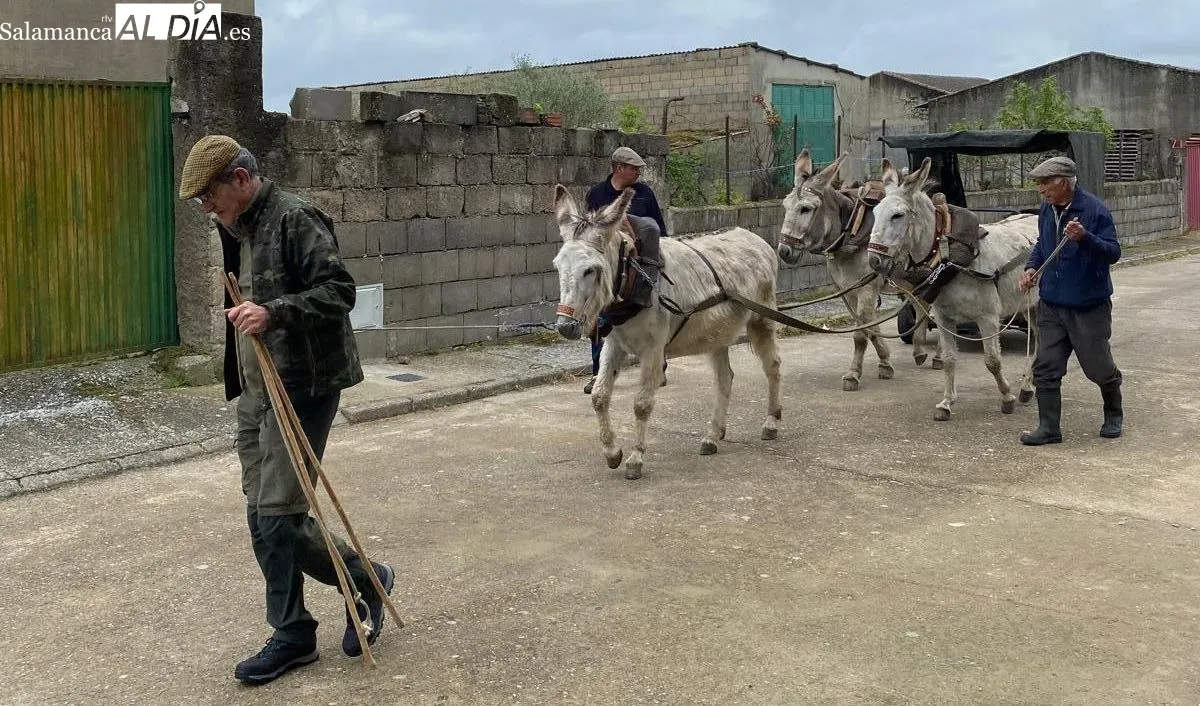 Los caminantes han iniciado la marcha esta mañana en Lumbrales