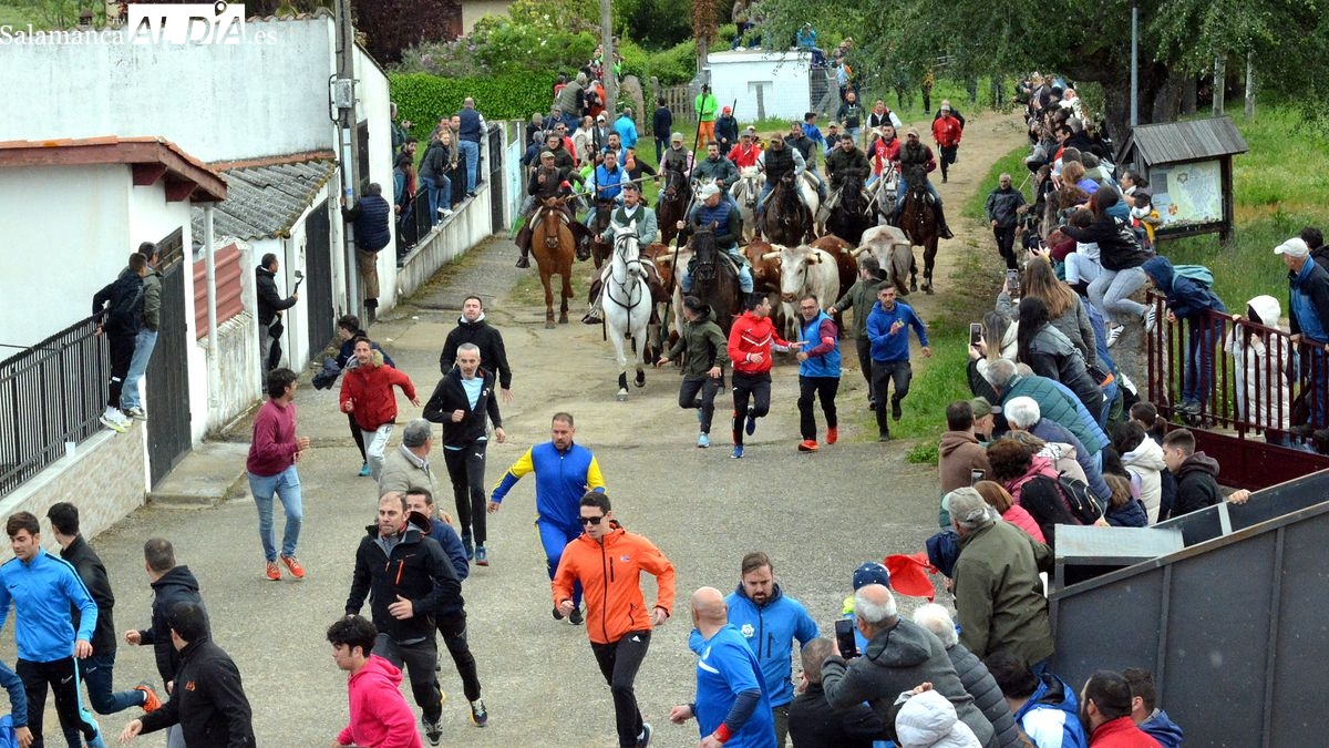 San Felices celebra una intensa jornada taurina en las fiestas de El Noveno