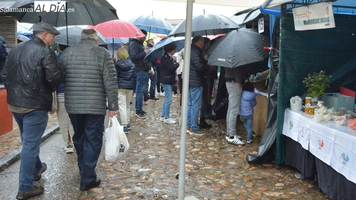 Foto 4 - Hinojosa de Duero cierra la XXII Feria Internacional del Queso con balance positivo en ventas y p&uacute;blico, a pesar del mal tiempo
