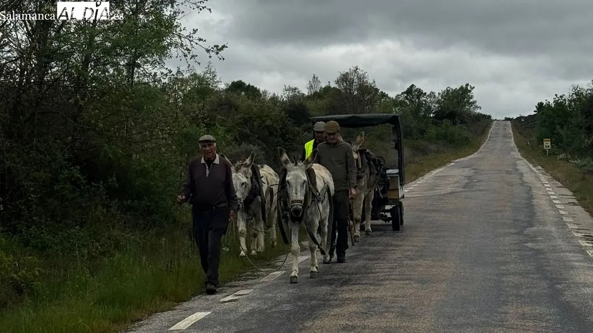 Los caminantes han iniciado la marcha esta mañana en Lumbrales