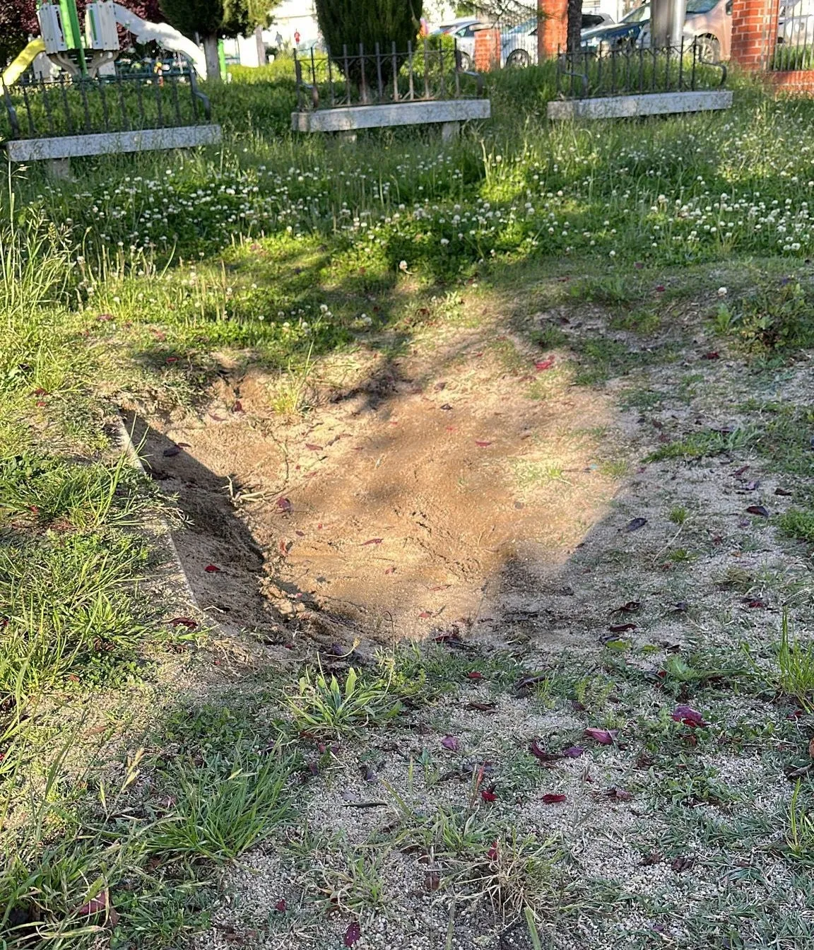 Foto 2 - El PSOE denuncia plagas de insectos en el parque del Valle de San Mart&iacute;n