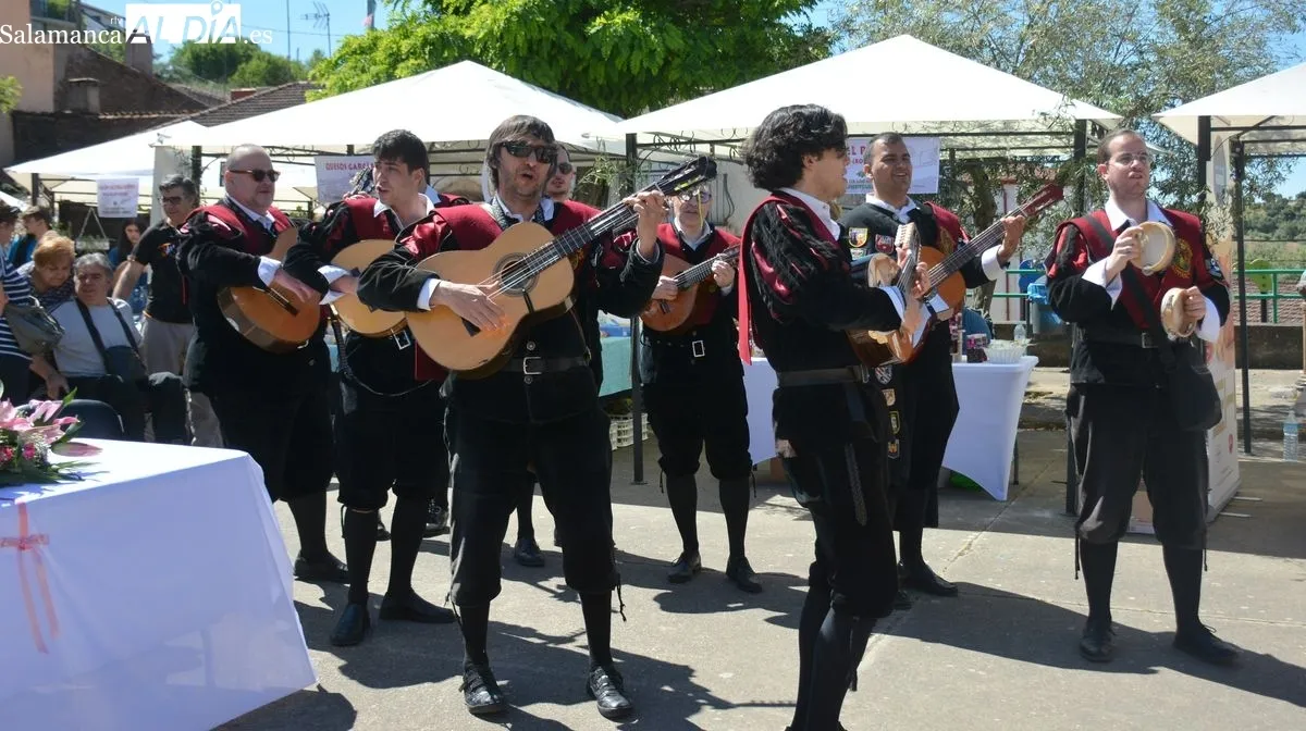 Foto 5 - Ahigal de los Aceiteros vive un intenso d&iacute;a con su feria y una marcha solidaria a beneficio de la AECC