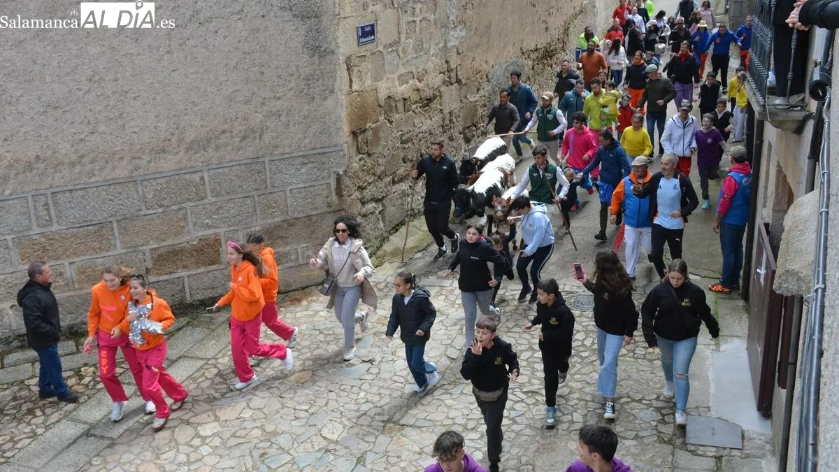 Foto 8 - Intensa y animada jornada taurina en las fiestas de El Noveno de San Felices de los Gallegos