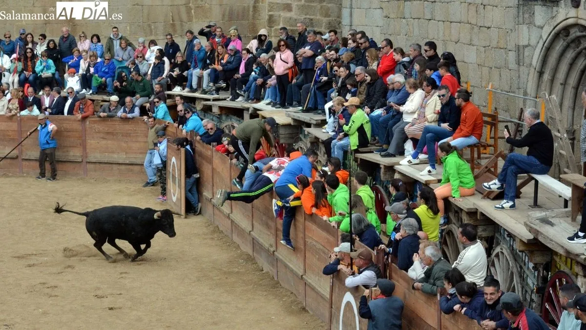 Fiestas del Noveno en San Felices de los Gallegos/ CORREDERA