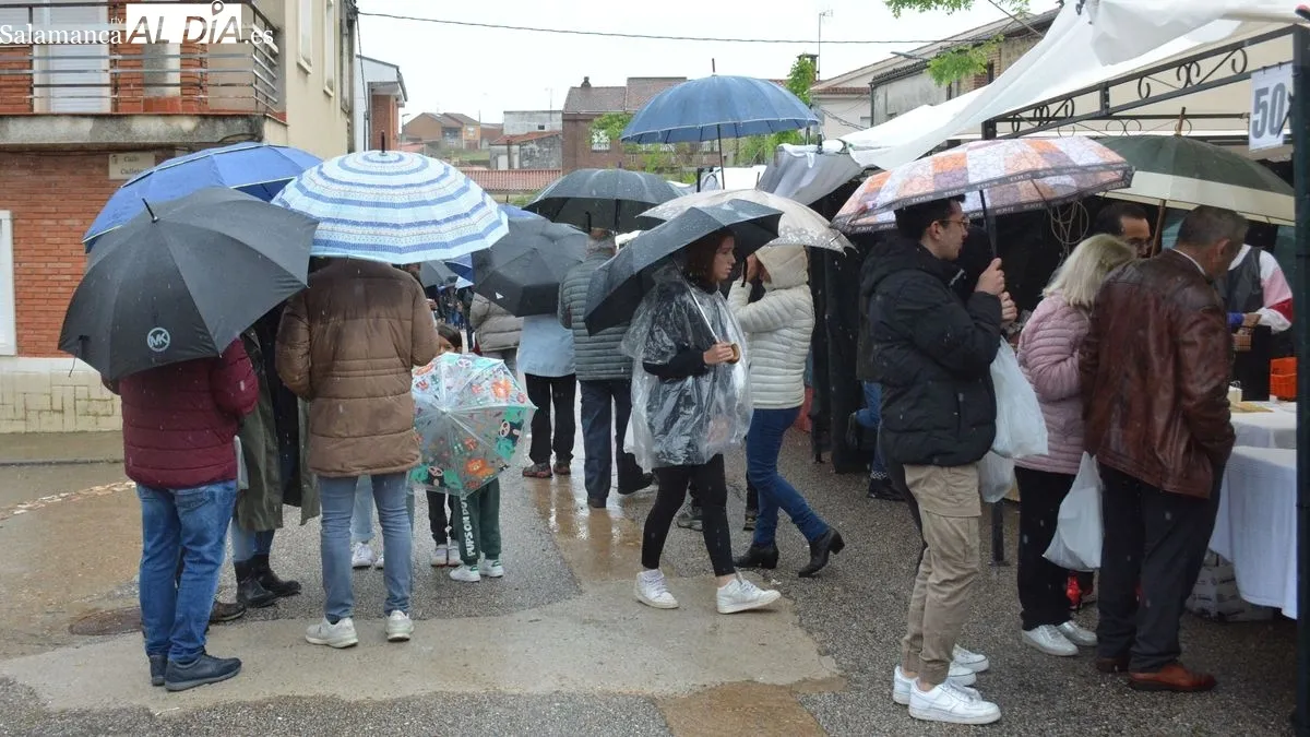 Foto 10 - Hinojosa de Duero cierra la XXII Feria Internacional del Queso con balance positivo en ventas y p&uacute;blico, a pesar del mal tiempo