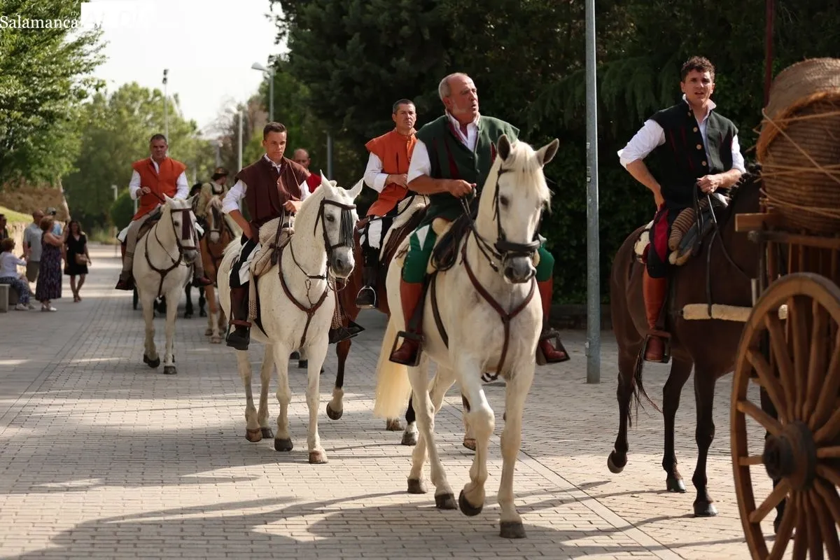 El esplendor del Siglo de Oro revive en Salamanca con este gran desfile | FOTOS: David Sañudo