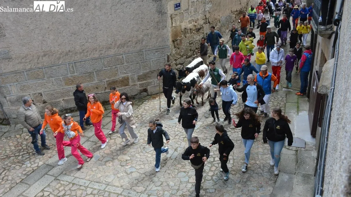 Foto 7 - Intensa y animada jornada taurina en las fiestas de El Noveno de San Felices de los Gallegos