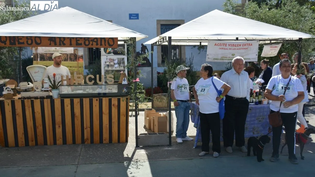 Foto 6 - Ahigal de los Aceiteros vive un intenso d&iacute;a con su feria y una marcha solidaria a beneficio de la AECC