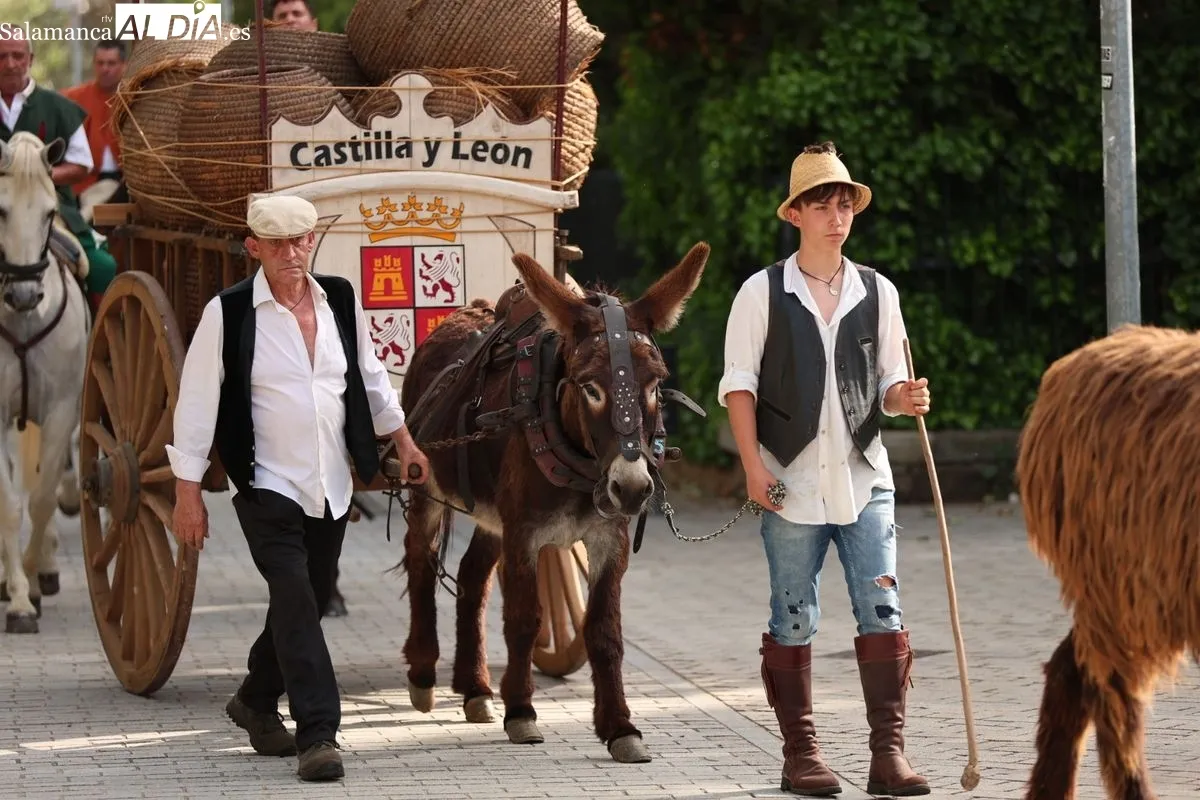 El esplendor del Siglo de Oro revive en Salamanca con este gran desfile | FOTOS: David Sañudo