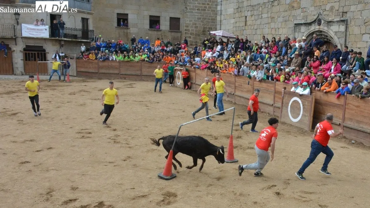 Foto 7 - Las Pe&ntilde;as dan el pistoletazo de salida, con un bullicioso y colorido desfile, a las fiestas de El Noveno en San Felices de los Gallegos