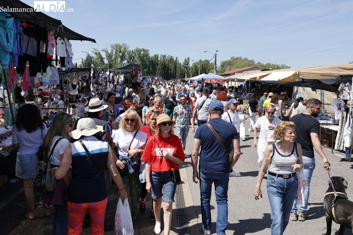 Rastro Salamanca y Tormes: sol y ambiente este domingo
