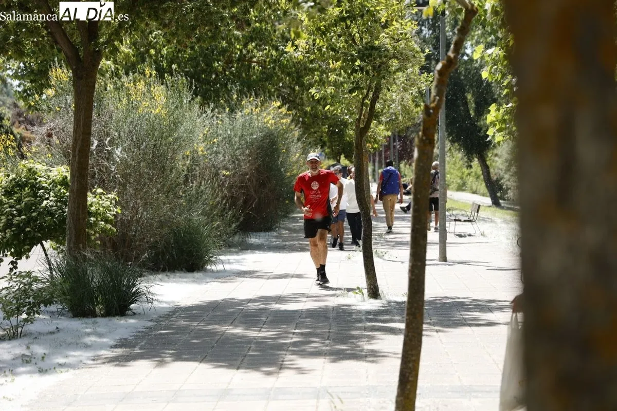 Ambiente en el rastro y en la ribera del Tormes esta mañana de domingo. Fotos: David Sañudo