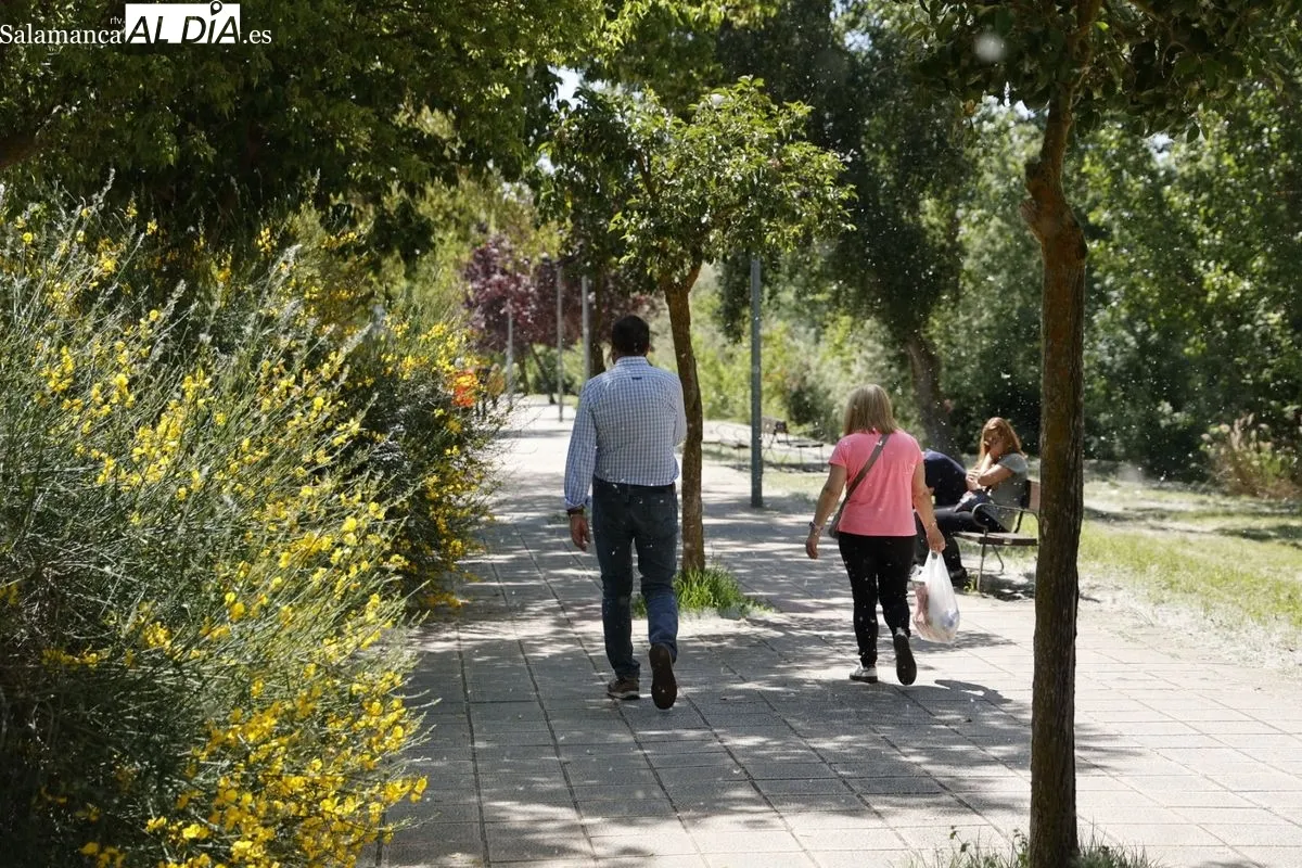 Ambiente en el rastro y en la ribera del Tormes esta mañana de domingo. Fotos: David Sañudo