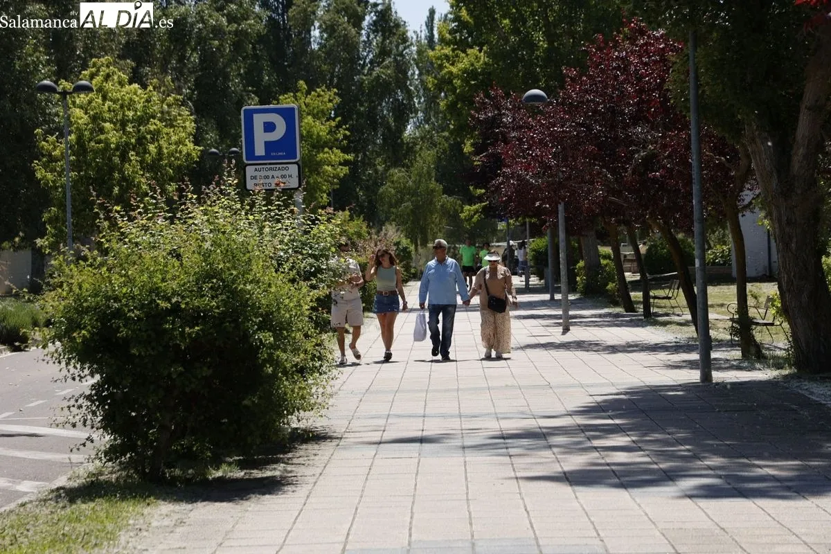 Ambiente en el rastro y en la ribera del Tormes esta mañana de domingo. Fotos: David Sañudo