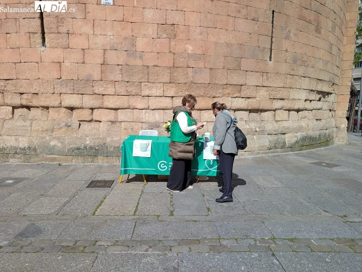 Cuestación de la Asociación Española contra el Cáncer (AECC) en Salamanca. Foto de David Sañudo
