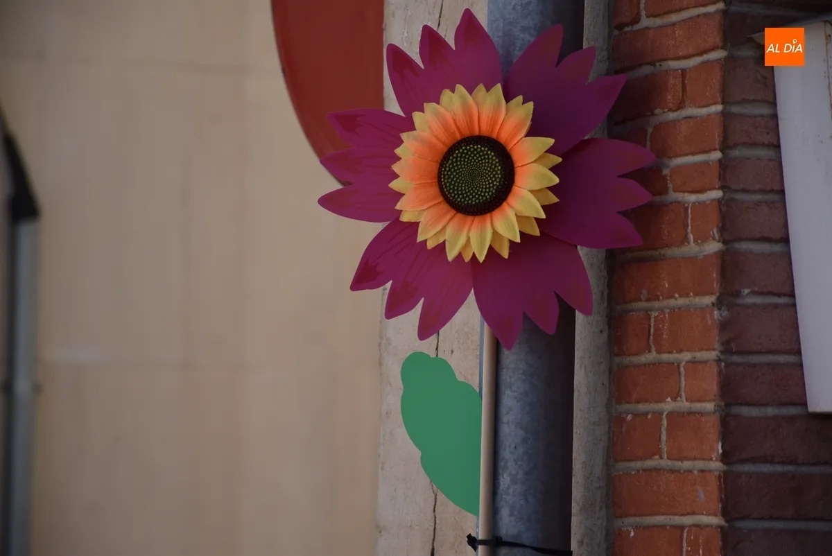 Foto 6 - Seis zonas de Ciudad Rodrigo toman parte en el Concurso Floral de Primavera 2025