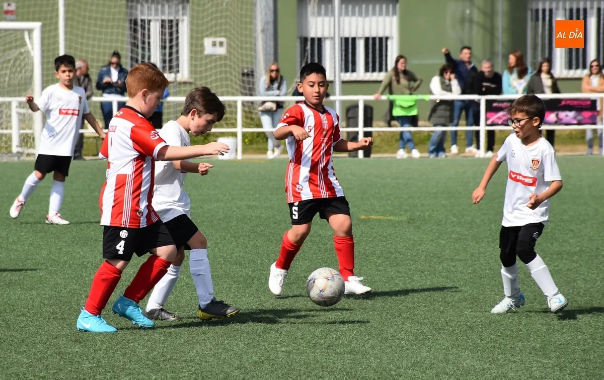 Foto 2 - El Benjam&iacute;n B del Ciudad Rodrigo golea en el &uacute;ltimo partido del curso 24/25 en los Campos de To&ntilde;ete