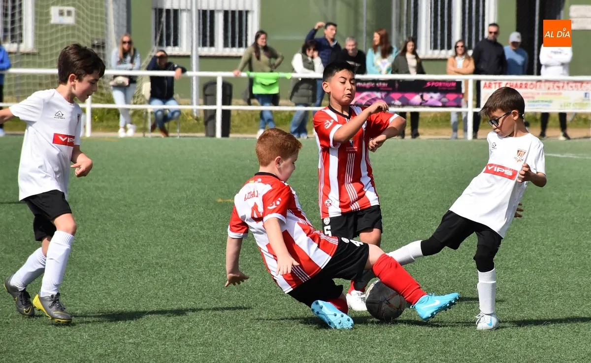 Foto 3 - El Benjam&iacute;n B del Ciudad Rodrigo golea en el &uacute;ltimo partido del curso 24/25 en los Campos de To&ntilde;ete