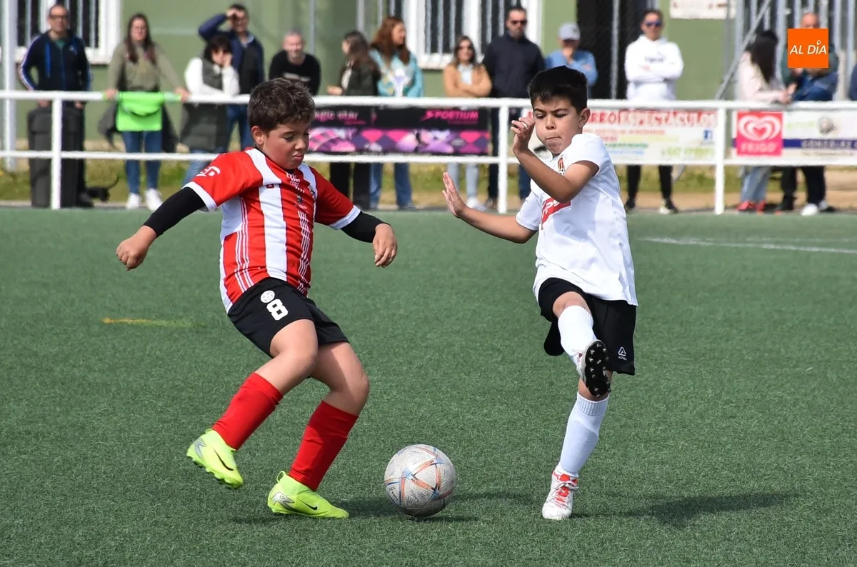 Foto 4 - El Benjam&iacute;n B del Ciudad Rodrigo golea en el &uacute;ltimo partido del curso 24/25 en los Campos de To&ntilde;ete