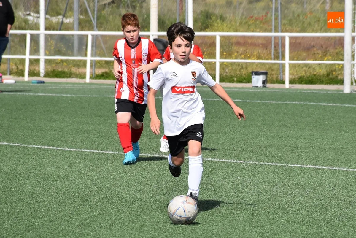 Foto 5 - El Benjam&iacute;n B del Ciudad Rodrigo golea en el &uacute;ltimo partido del curso 24/25 en los Campos de To&ntilde;ete