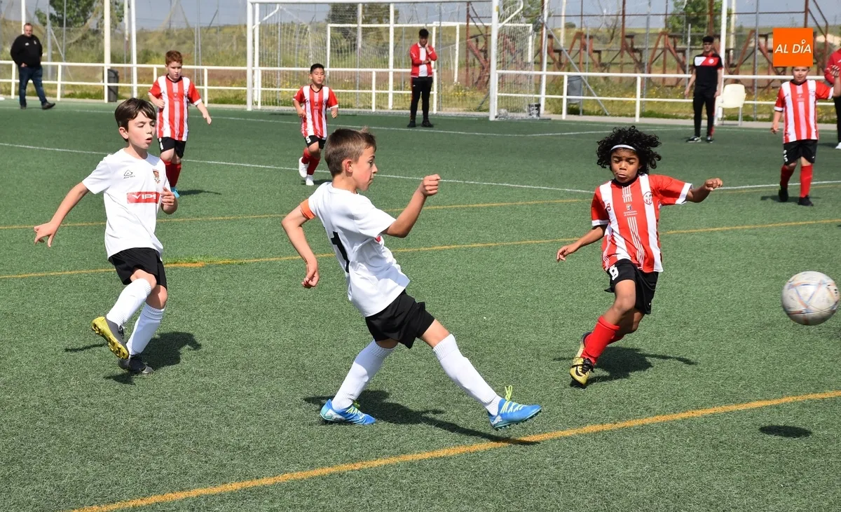Foto 6 - El Benjam&iacute;n B del Ciudad Rodrigo golea en el &uacute;ltimo partido del curso 24/25 en los Campos de To&ntilde;ete