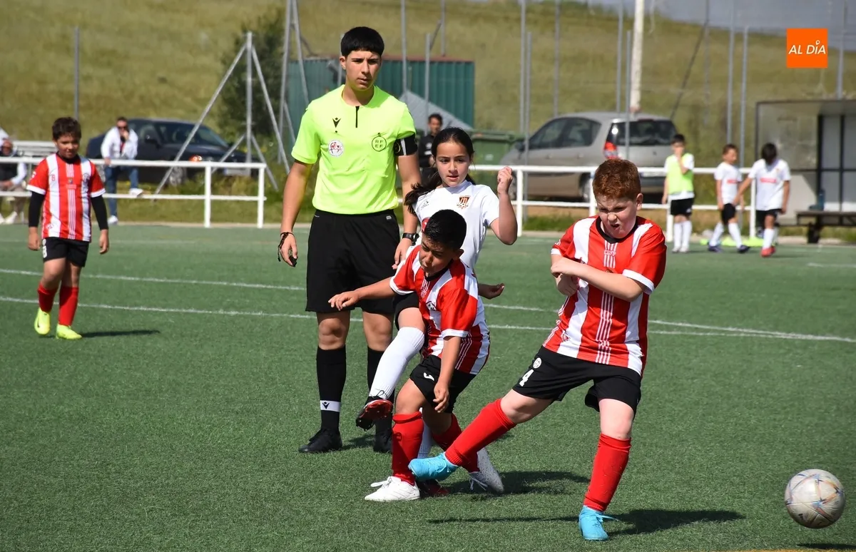 Foto 8 - El Benjam&iacute;n B del Ciudad Rodrigo golea en el &uacute;ltimo partido del curso 24/25 en los Campos de To&ntilde;ete