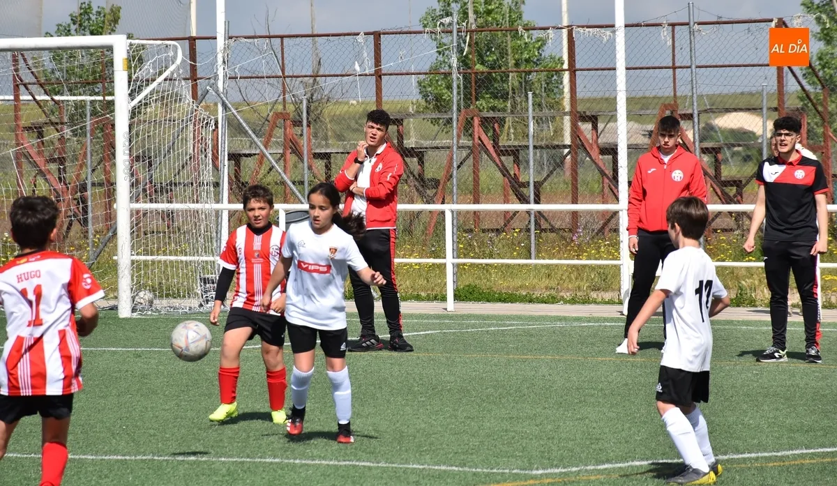 Foto 9 - El Benjam&iacute;n B del Ciudad Rodrigo golea en el &uacute;ltimo partido del curso 24/25 en los Campos de To&ntilde;ete