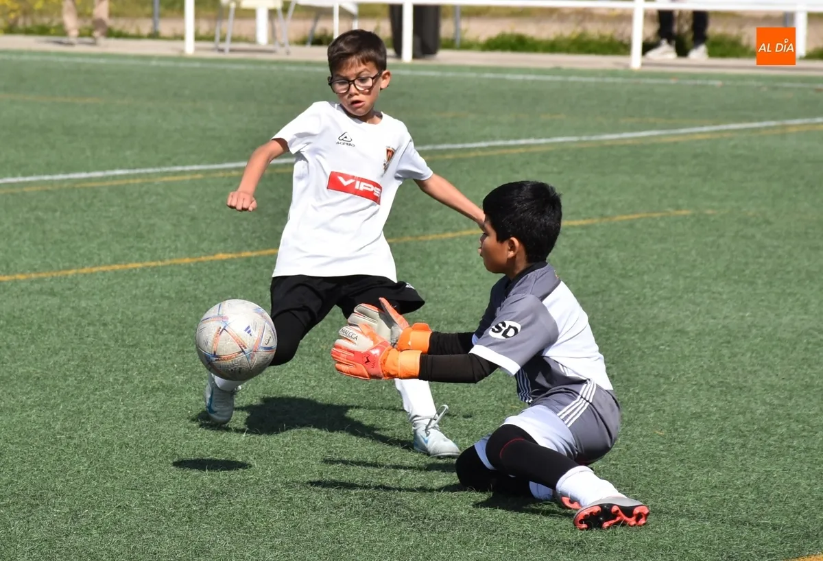 Foto 10 - El Benjam&iacute;n B del Ciudad Rodrigo golea en el &uacute;ltimo partido del curso 24/25 en los Campos de To&ntilde;ete